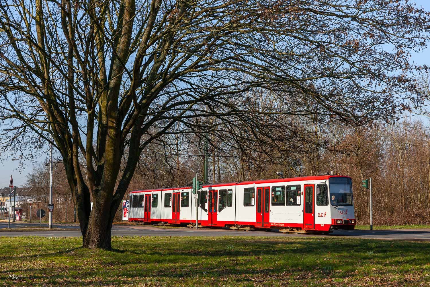 Einzelgänger im Bleichlack