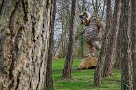 092 - Steenenenen  Der Leitsatz besagt, dass man, bevor man einen Stein oder einen Felsen bewegt, auf ihm, neben ihm, mit ihm stehen und bis hundert und elf zählen muss: one one one, en en en, oder eben eins eins eins.  Auf diese Weise soll sichergestellt werden, dass man sich Zeit nimmt für seine Handlungen und diese wohlüberlegt. : K Thomas Dambo, Troll 092 - Steenenenen, a Luxembourg, ao Esch (Alzette)