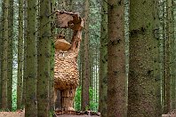 113 - Jens Nej  Noch eine Impression von dem gigantischen Troll, der uns sehr beeindruckt hat. Mitten im Wald sieht man kaum Spuren von den Bauarbeiten, die rund um die Errichtung der Skulptur stattgefunden haben müssen.